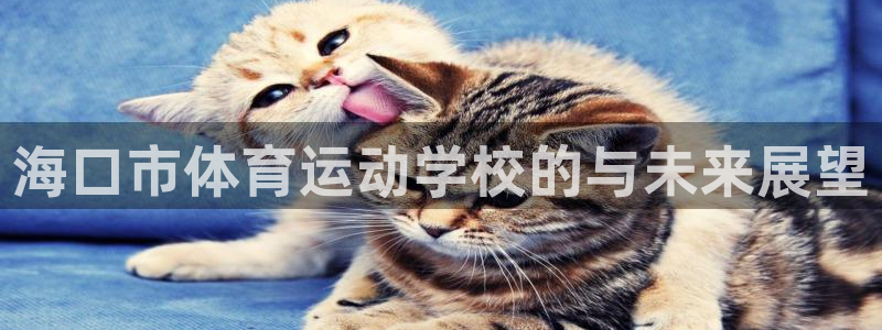 vsport体育官网下载平台是正规平台吗知乎:海口市体育运动